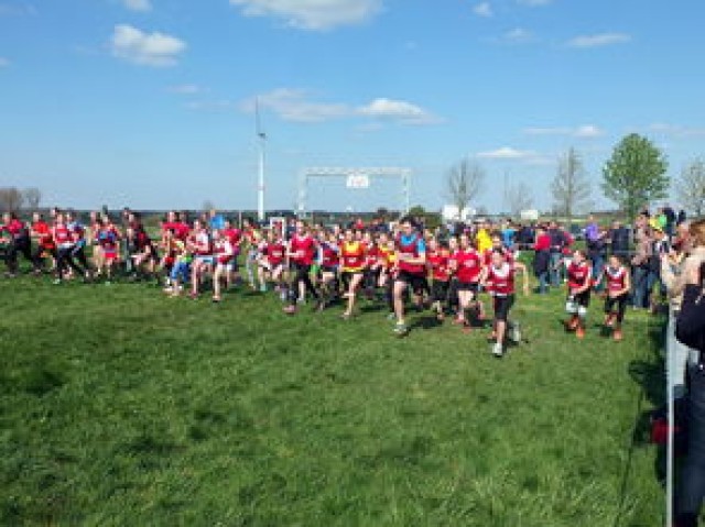 乐鱼体育官网登录-全国青少年劳动体育竞赛各项赛事激烈进行，全国青少年劳动体育竞赛各项赛事激烈进行的原因