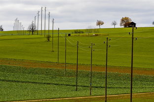 球员体能负荷评估工具上线助力教练科学制定训练计划，体育负荷强度